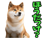 787478766
