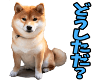 787478767