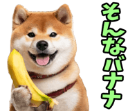 787478769