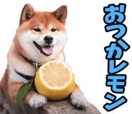 787478770