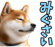 787478773