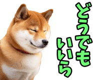787478775