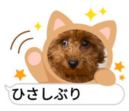 787480820