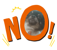 787483019