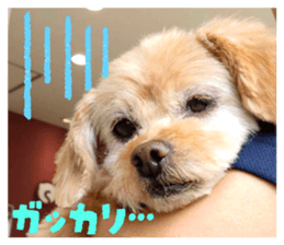 787485233