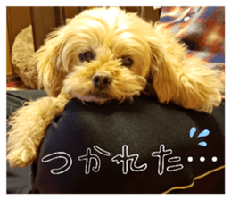 787485234