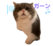 787491507