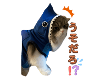 787491514