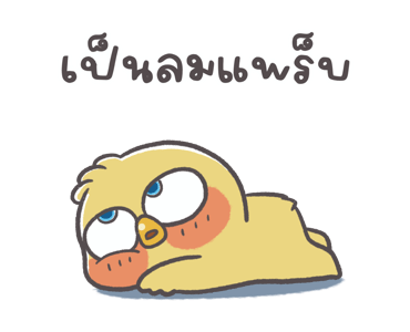 ลายที่ 31