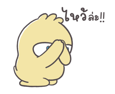 ลายที่ 41