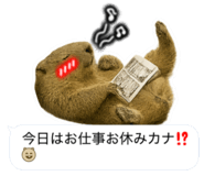 787504050