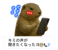787504055
