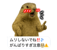787504072