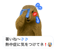 787504083