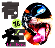 787528510