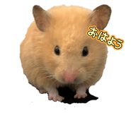 787570773
