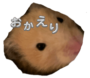 787570779