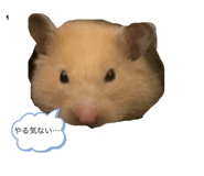 787570785