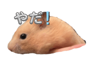 787570791
