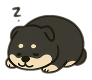 787573758