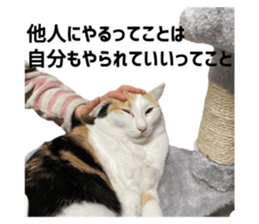 787579352