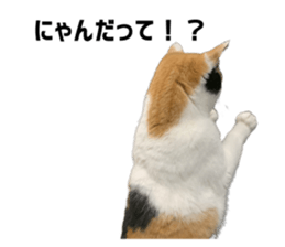 787579357