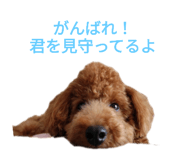 787582591