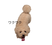 787598232
