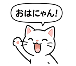 787603185