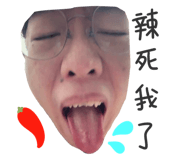 787605242