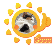 787608199