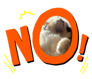 787608208