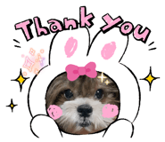 787614516