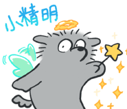 787625678