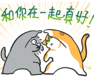 787625702