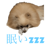 787630468