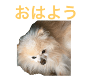 787630469