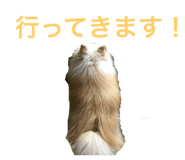 787630471