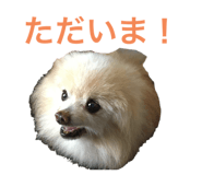787630472