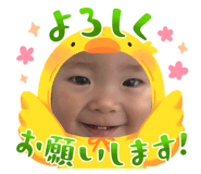 787645539