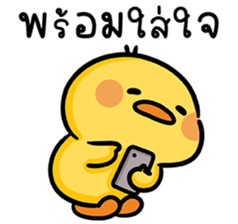 ลายที่ 11