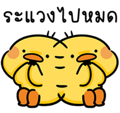 ลายที่ 25