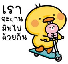 ลายที่ 29