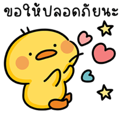 ลายที่ 31