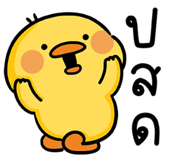 ลายที่ 37