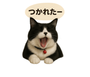 787650246