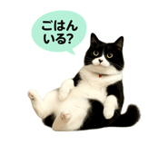 787650248