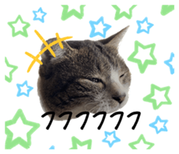 787651812