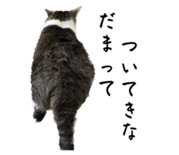 787651820