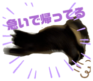 787680993